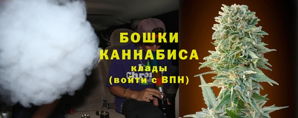 дмт Богданович