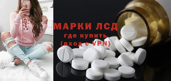 дмт Богданович