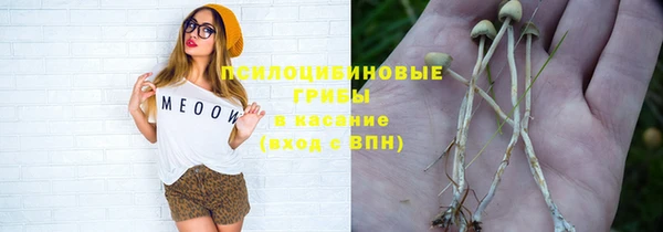 дмт Богданович