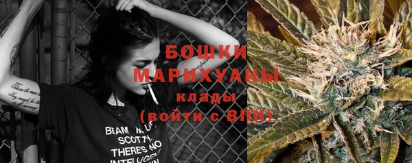 дмт Богданович