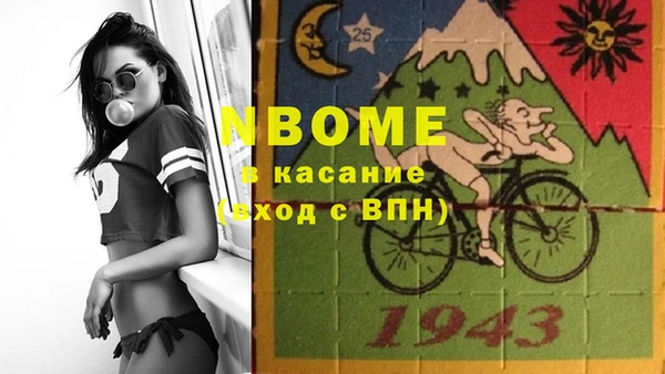 дмт Богданович
