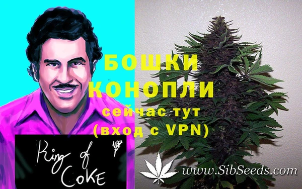 дмт Богданович