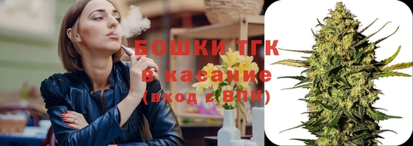 дмт Богданович