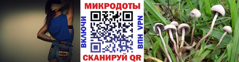 Купить где  Покров  Галлюциногенные грибы Psilocybine cubensis 